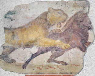 Un tigre atacando a un jabalí salvaje, del Anfiteatro de Mérida